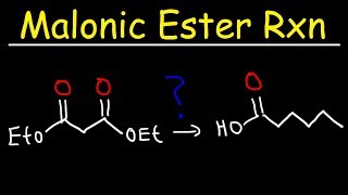 Malonic Ester Synthesis Reaction Mechanism [upl. by Siol]