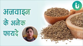 अजवाइन के अनेक फायदे  Ajwain ke faide [upl. by Aitetel]