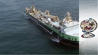 How Australia Impounded the Worlds SecondLargest Fishing Trawler [upl. by Llemej646]