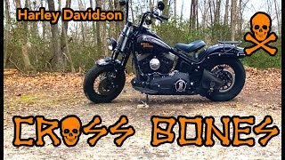 Harley Davidson CROSSBONES The LAST Softtail Springer [upl. by Laleb]