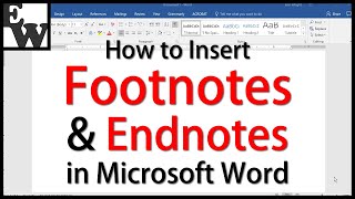 How to Insert Footnotes and Endnotes in Microsoft Word [upl. by Hemphill]