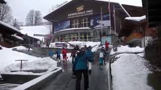 Grindelwald Ski Resort Guide [upl. by Ateuqram568]