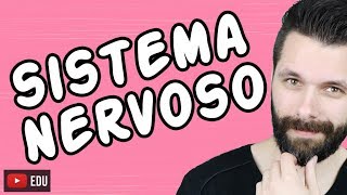 SISTEMA NERVOSO  FISIOLOGIA  Aula  Biologia com Samuel Cunha [upl. by Elhsa]