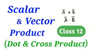 Scalar amp Vector product  Dot amp Cross Product  Vectors  Maths  12th HSC Science [upl. by Enirehtak]