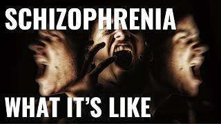 What its like to have schizophrenia [upl. by Anitnauq]