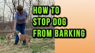 How To Stop Dog From Barking At Everything Outside [upl. by Iroak]