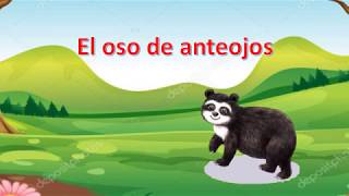 El oso de anteojos [upl. by Mychal]