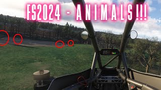 Finding ANIMALS in MSFS2024 [upl. by Dottie379]