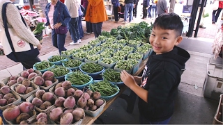 From the Field to the Farmers Market [upl. by Diahann305]