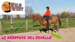 Le andature del cavallo [upl. by Ennaerb]