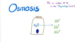 Osmosis  Physiology [upl. by Chung]