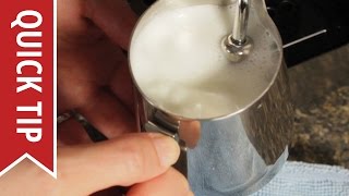 How to AutoFroth Milk for Lattes [upl. by Ameehs56]