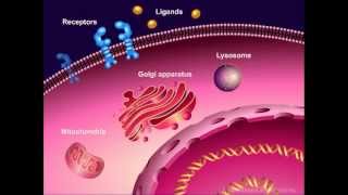 Introduction to Cancer Biology Part 1 Abnormal Signal Transduction [upl. by Essej94]