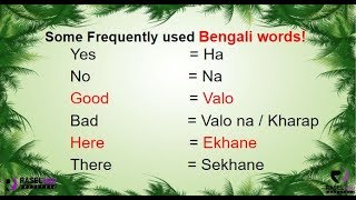 Learn Some Frequently Used Bengali Words in English Part 1 [upl. by Smada134]