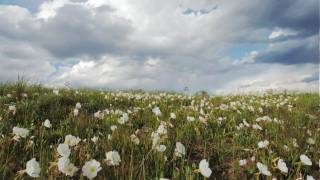 Discover Americas heartland the Great Plains [upl. by Boylston]