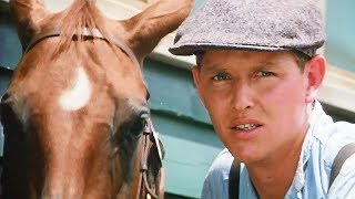 Phar Lap 1983 ORIGINAL TRAILER [upl. by Leahcimluap487]