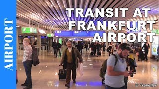 TRANSIT WALK AT FRANKFURT Airport FRA Terminal 1  Connection Flight Transfer Arriving amp Departing [upl. by Alehc845]