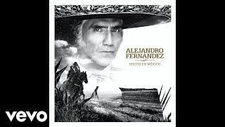 Alejandro Fernández  A Qué Sabe El Olvido Audio Oficial [upl. by Ariane]