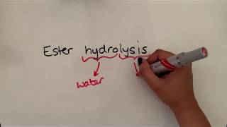 Ester hydrolysis [upl. by Giusto]